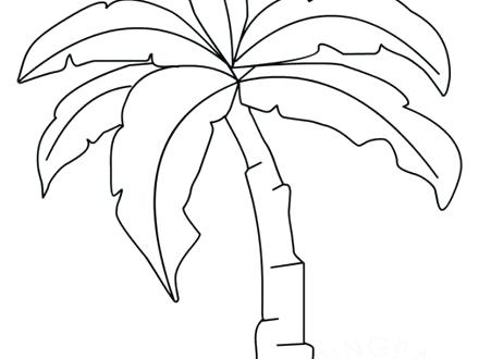 Palm Leaf Sketch At Paintingvalley.com 