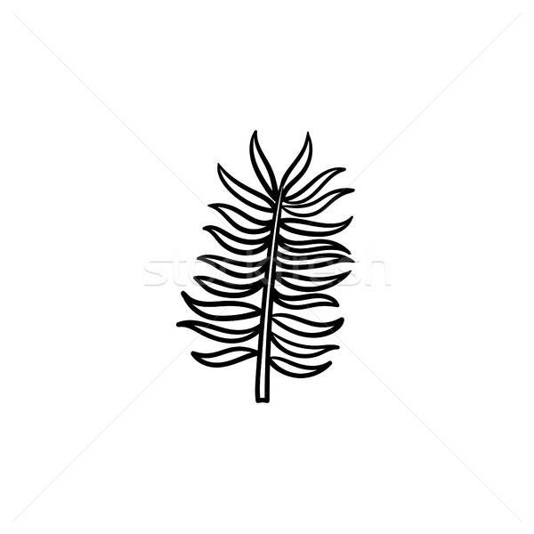 600x600 Leaves Of Palm Tree Hand Drawn Sketch Icon. Vector Illustration - Palm Leaves Sketch
