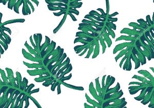 300x210 Palm Leaves Drawing 3 Vector Tropical Palm Leaves Realistic Stock - Palm Leaves Sketch