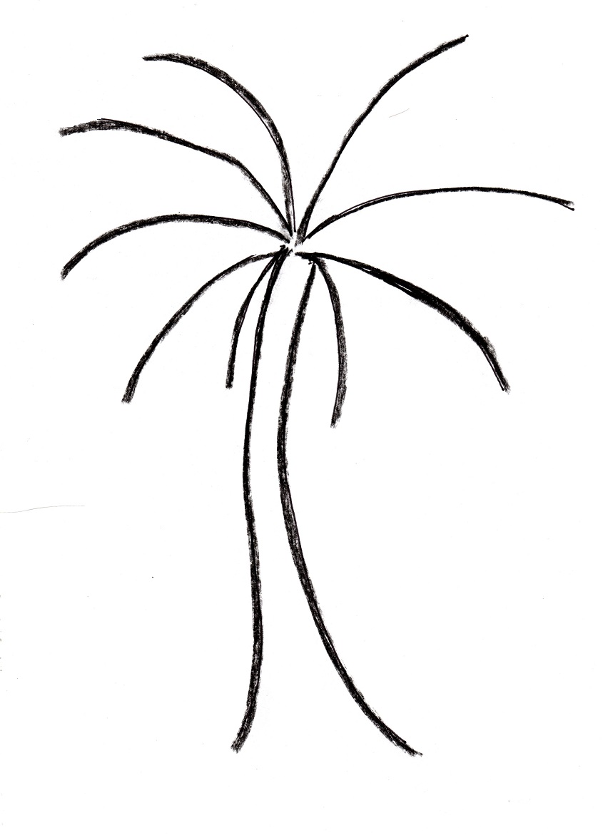 845x1171 Palm Tree Drawing - Palm Leaves Sketch