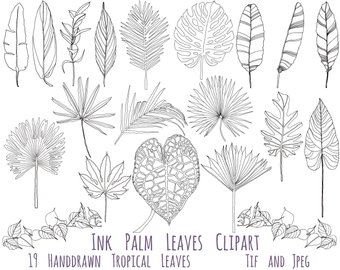 340x270 Palm Leaf Sketches Etsy - Palm Leaves Sketch