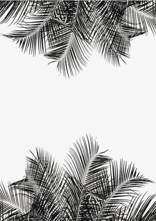 500x707 Sketch Leaf, Simple Leaves, Palm Leaves, Beach Png Image And - Palm Leaves Sketch