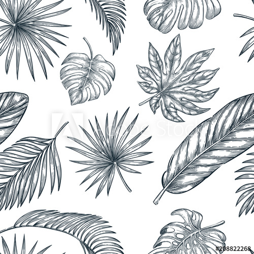 500x500 Tropical Palm Leaves Seamless Vector Pattern. Sketch Hand Drawn - Palm Leaves Sketch