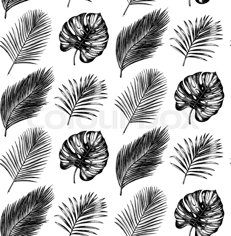783x800 Tropical Seamless Pattern In Vector. Exotic Palm Leaves And Fruits - Palm Leaves Sketch