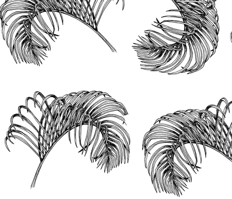 470x403 Palm Frond Sketch Wallpaper - Palm Sketch