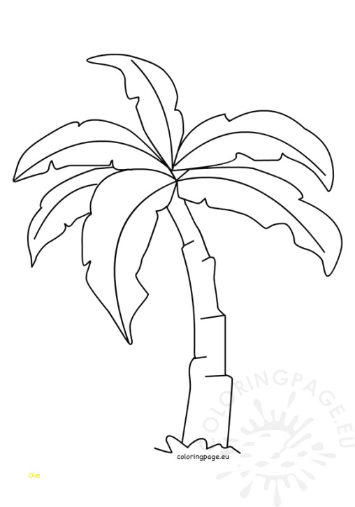 508x726 Palm Tree Template New Easter Template Palm Leaf Sunday School - Palm Sketch