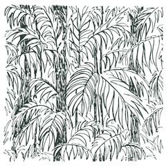 240x240 Palm Sketch. Hand Drawn Vector Illustration. - Palm Sketch
