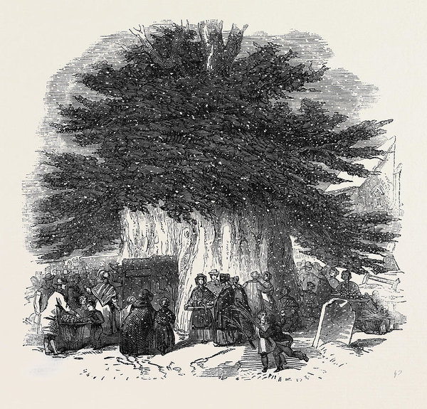 600x575 Palm Sunday Drawings Fine Art America - Palm Sunday Sketch