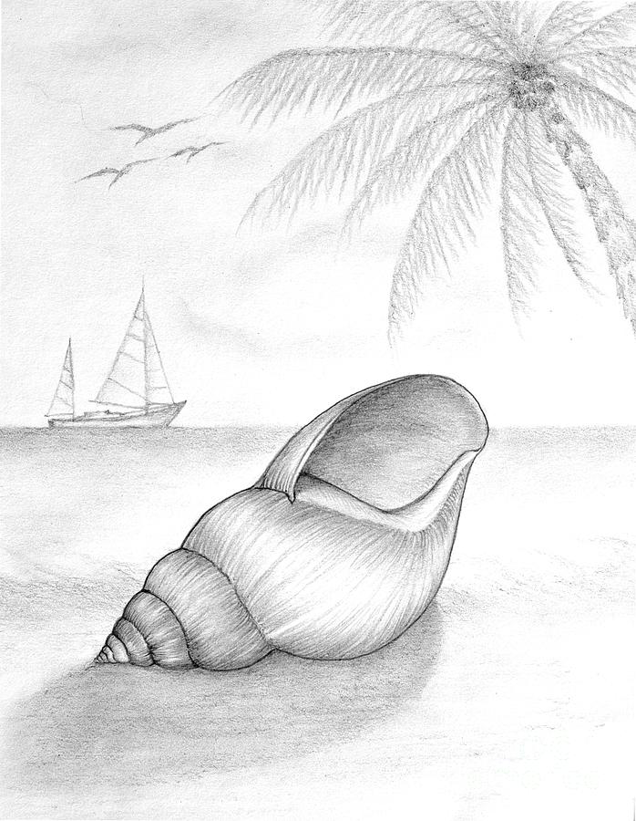 698x900 Drawn Palm Tree Beach Scene - Palm Tree Beach Sketch