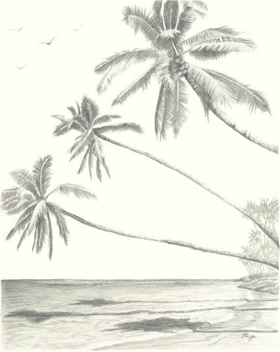 570x716 Hawaii Paradise Three Palm Tree Beach Pencil Drawing Print - Palm Tree Beach Sketch