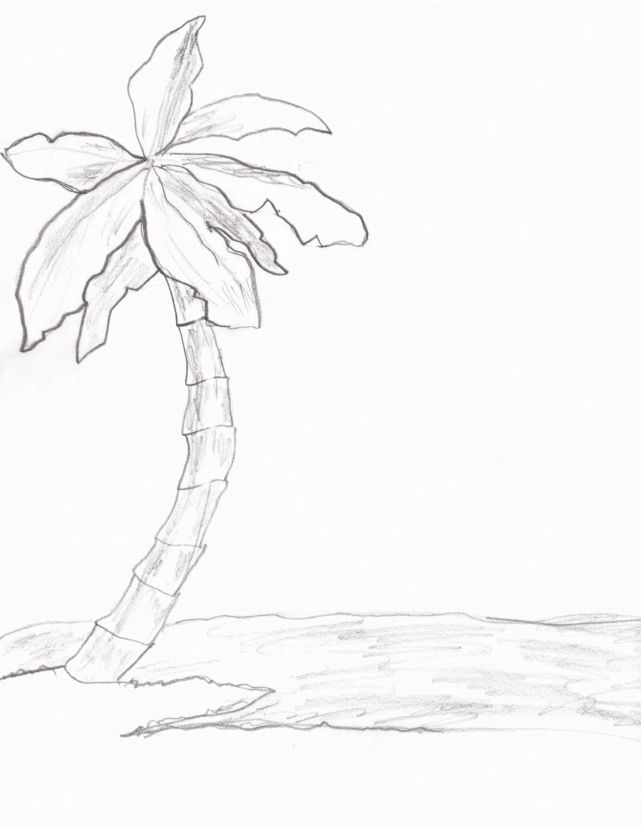900x1161 Collection Of Palm Trees Tumblr Drawing High Quality, Free - Palm Tree Beach Sketch