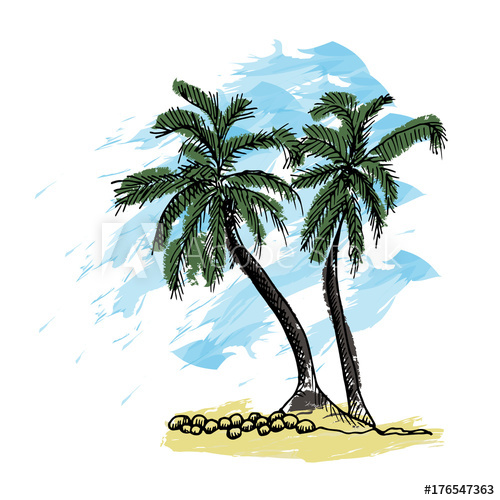 500x500 Palm Trees And Blue Sky. Tropical Beach Hand Drawn Sketch. - Palm Tree Beach Sketch