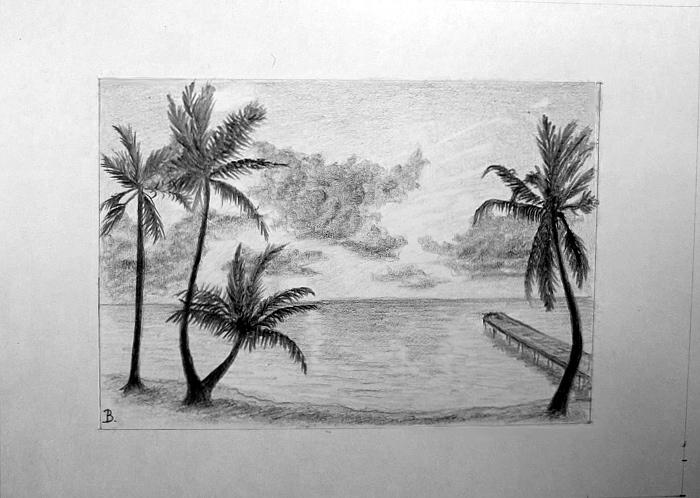 700x498 Palm Trees On A Beach By Brianvds - Palm Tree Beach Sketch