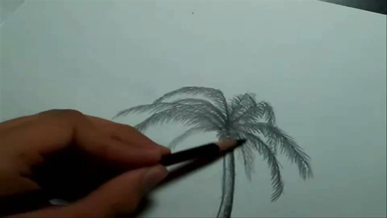 1280x720 Beach Landscape - Palm Tree Beach Sketch