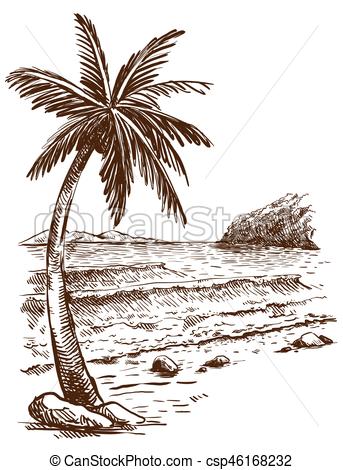 Palm Tree Beach Sketch at PaintingValley.com | Explore collection of