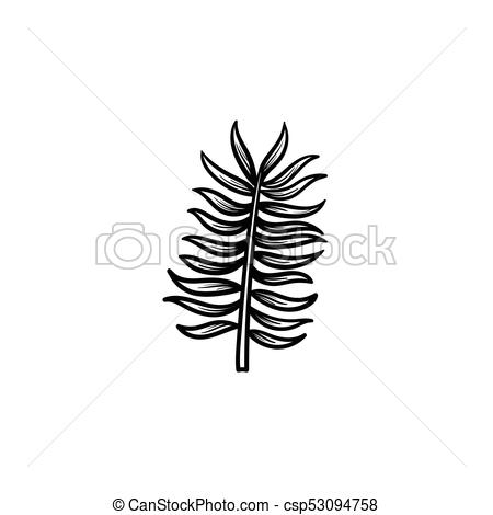 450x470 Leaves Of Palm Tree Hand Drawn Sketch Icon. Vector Hand Drawn - Palm Tree Sketch