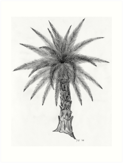 413x549 Elegant Palm Tree Sketch Art Prints By Palmcreator Redbubble - Palm Tree Sketch