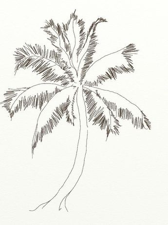 345x460 How To Draw Coconut Tree Artwork Drawings - Palm Tree Sketch Easy