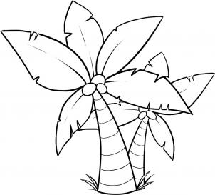302x273 How To Draw How To Draw Palm Trees - Palm Tree Sketch Easy