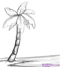 236x262 Great Sketch Of Palm Trees Beach Illustrations And Photography - Palm Tree Sketch Easy