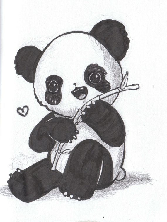 570x759 Day 40 Kawaii Cutie Panda Bear Bamboo Love Original Etsy - Panda Bear Sketch
