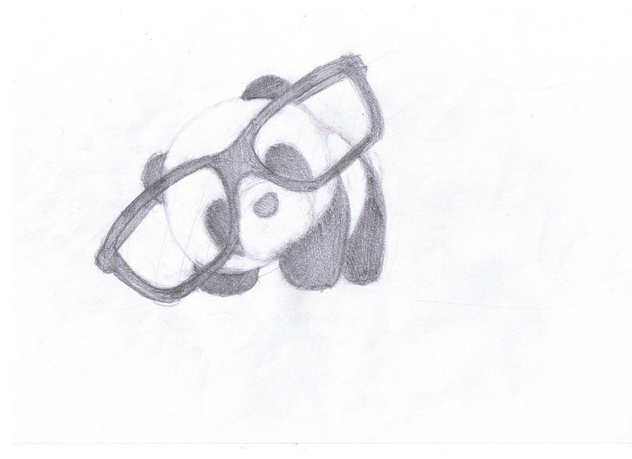 900x654 Panda Bear Sketch - Panda Bear Sketch