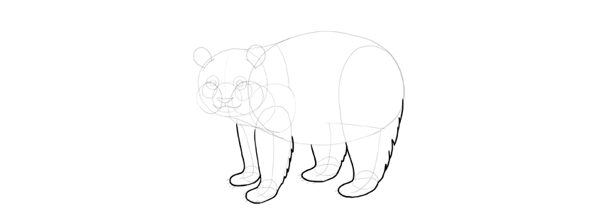 850x314 How To Draw A Panda Step By Step - Panda Face Sketch