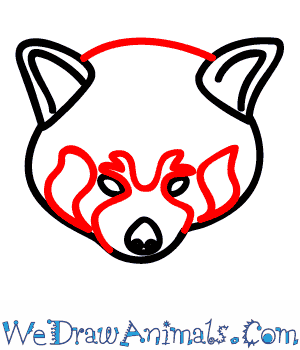 300x350 How To Draw A Red Panda - Panda Face Sketch