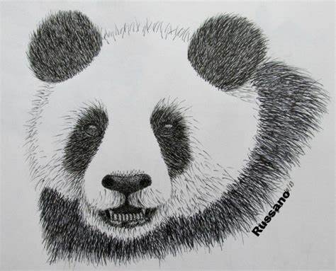 Panda Face Sketch at PaintingValley.com | Explore collection of Panda ...