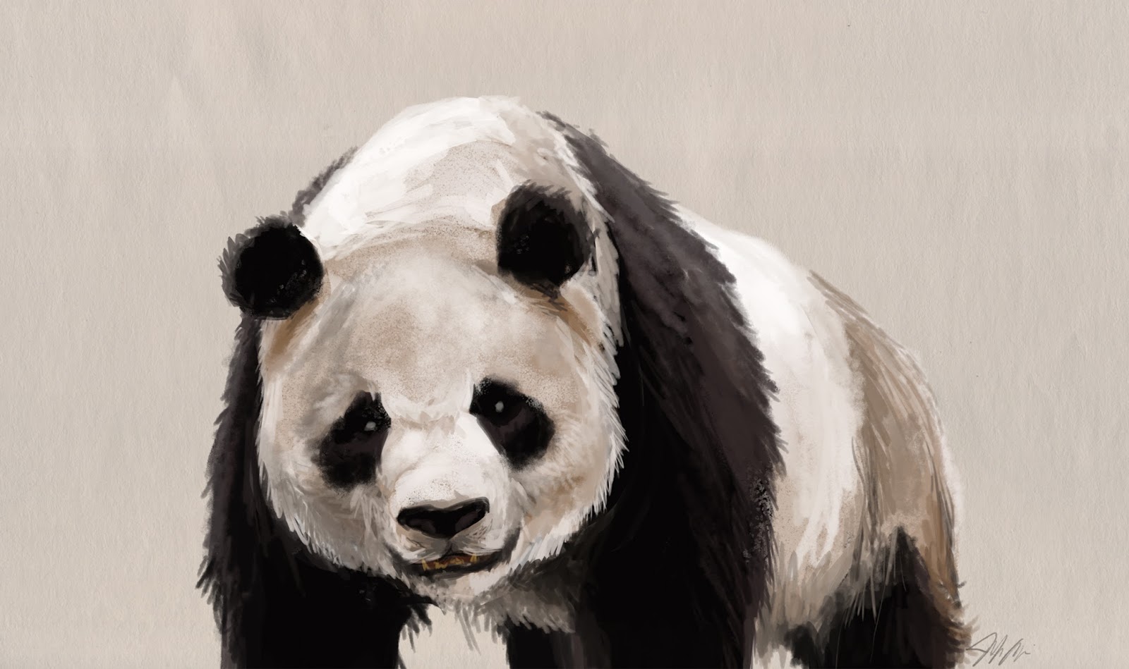 1600x949 Panda Face Sketch - Panda Face Sketch