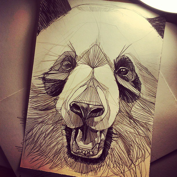 612x612 Pandaface - Panda Face Sketch