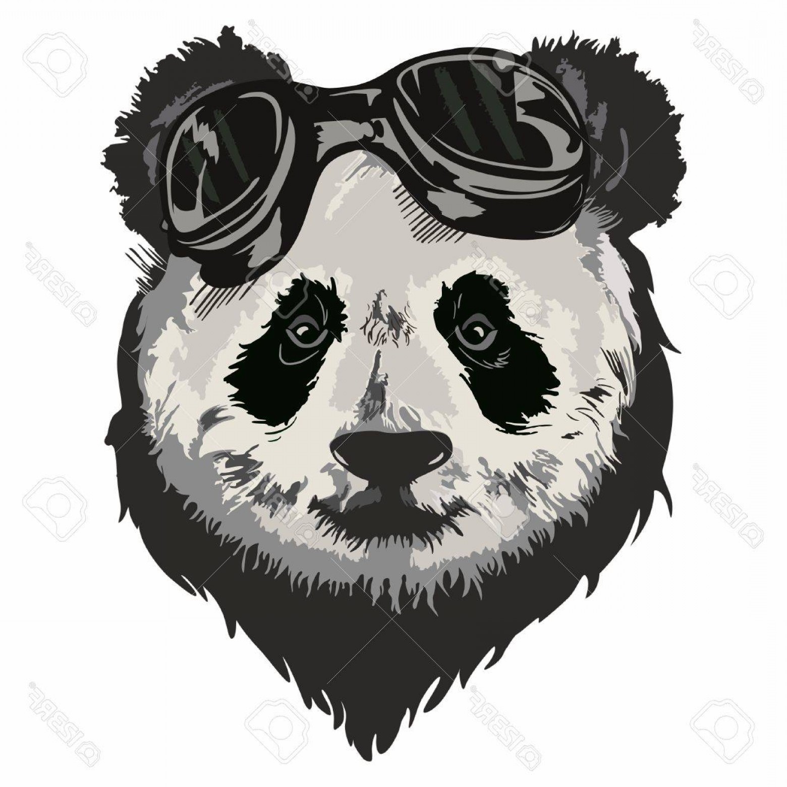 1560x1560 Photostock Vector Black And White Vector Sketch Of A Giant Panda S - Panda Face Sketch