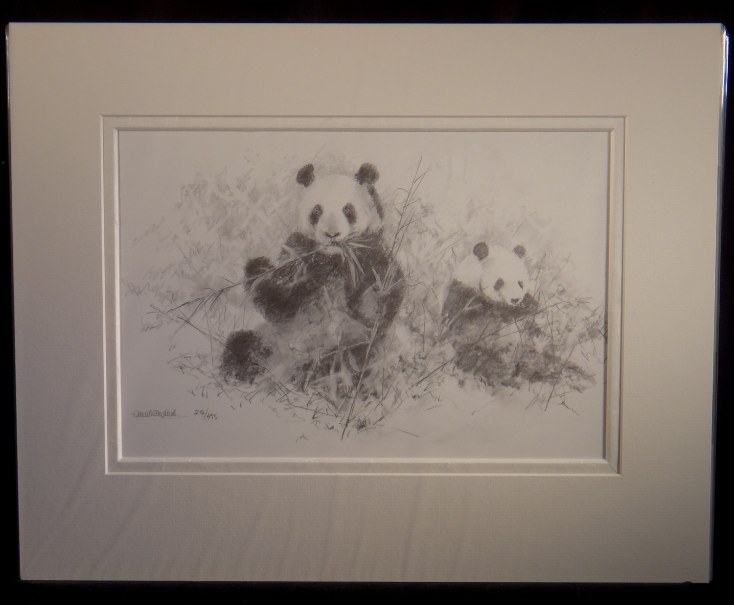 1500x1235 David Shepherd, Elephant,tigers, Pandas, Cheetahs, Pencil Drawings - Panda Pencil Sketch