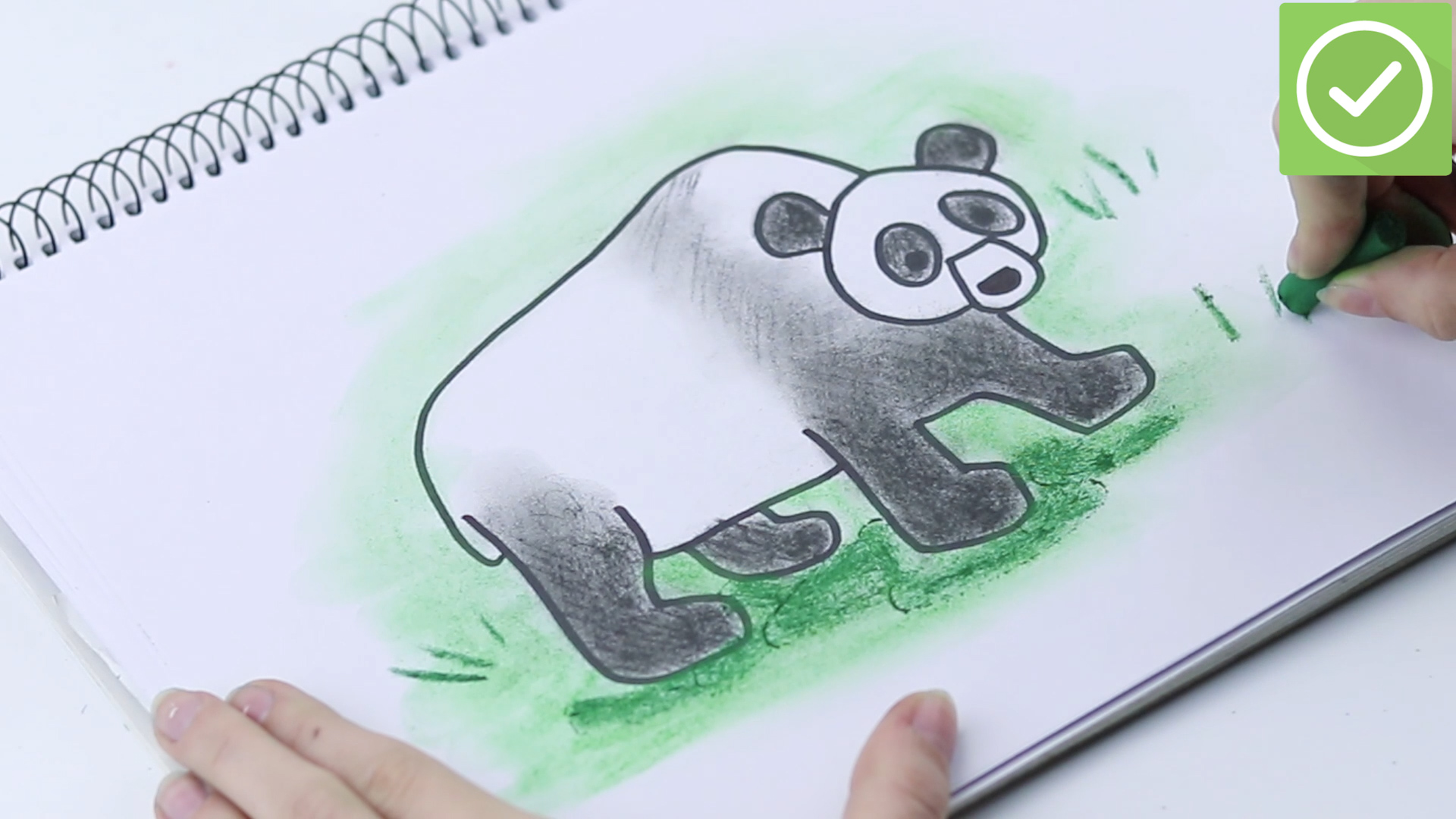 1920x1080 How To Draw A Panda (With Pictures) - Panda Sketch