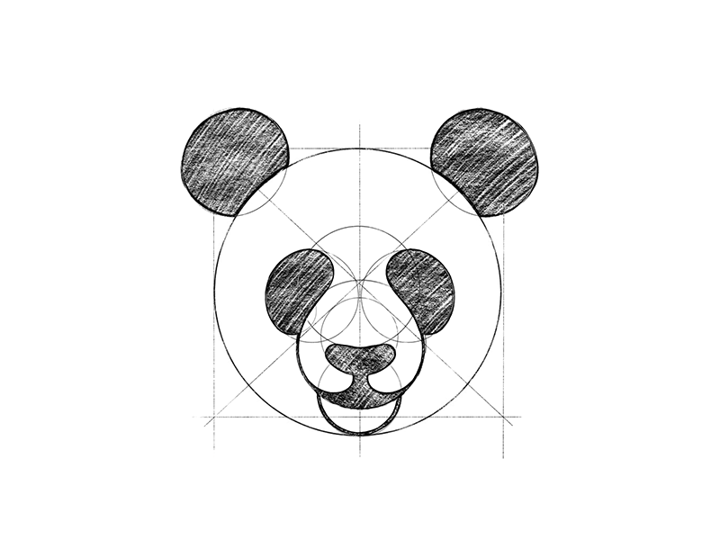 800x600 Panda Sketch By Steve Raboin - Panda Sketch Images