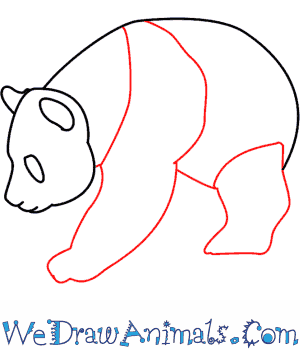 300x350 How To Draw A Panda - Panda Sketch Step By Step