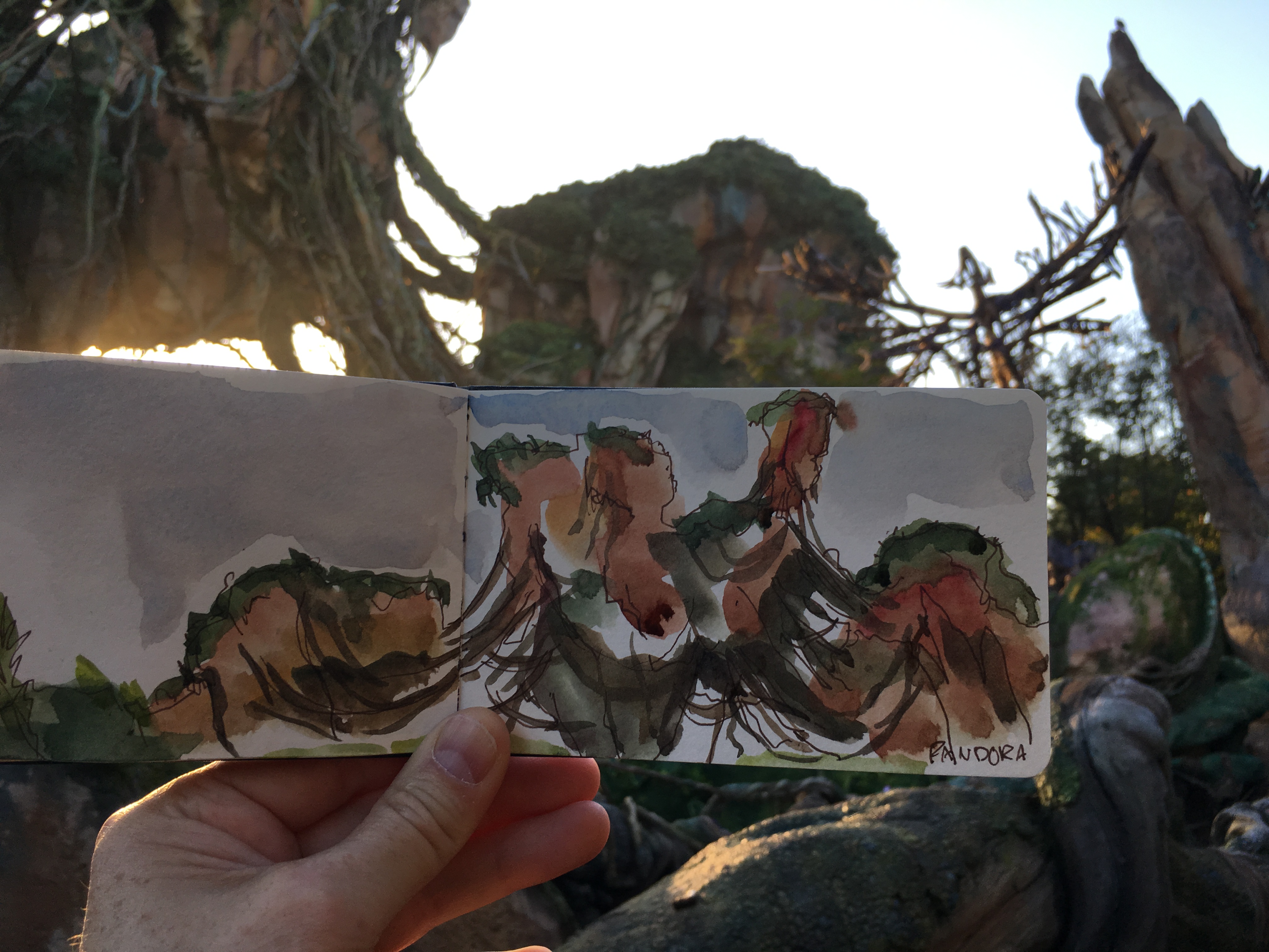 4032x3024 Sketches From The Park Plein Air In Pandora The World Of Avatar - Pandora Sketch