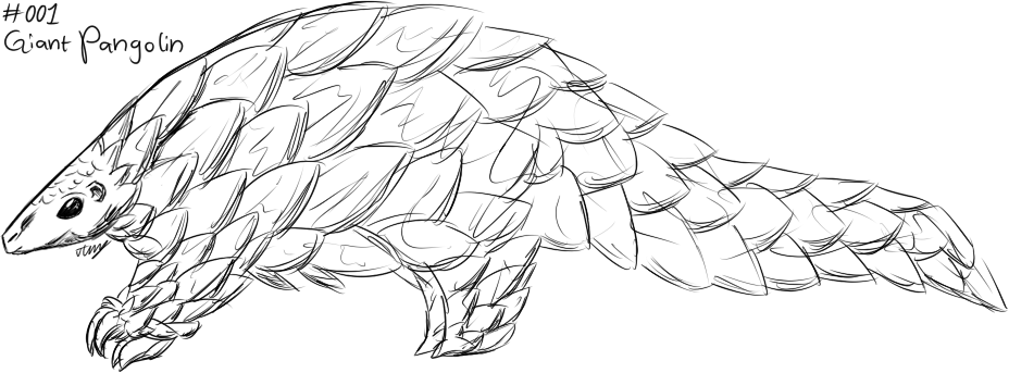 928x343 001 - Pangolin Sketch