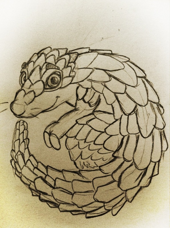 597x799 Pangolin Sketch Weasyl - Pangolin Sketch