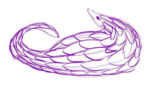 500x286 Pangolin Sketch Art Amp Sketches Sketches, Animation - Pangolin Sketch