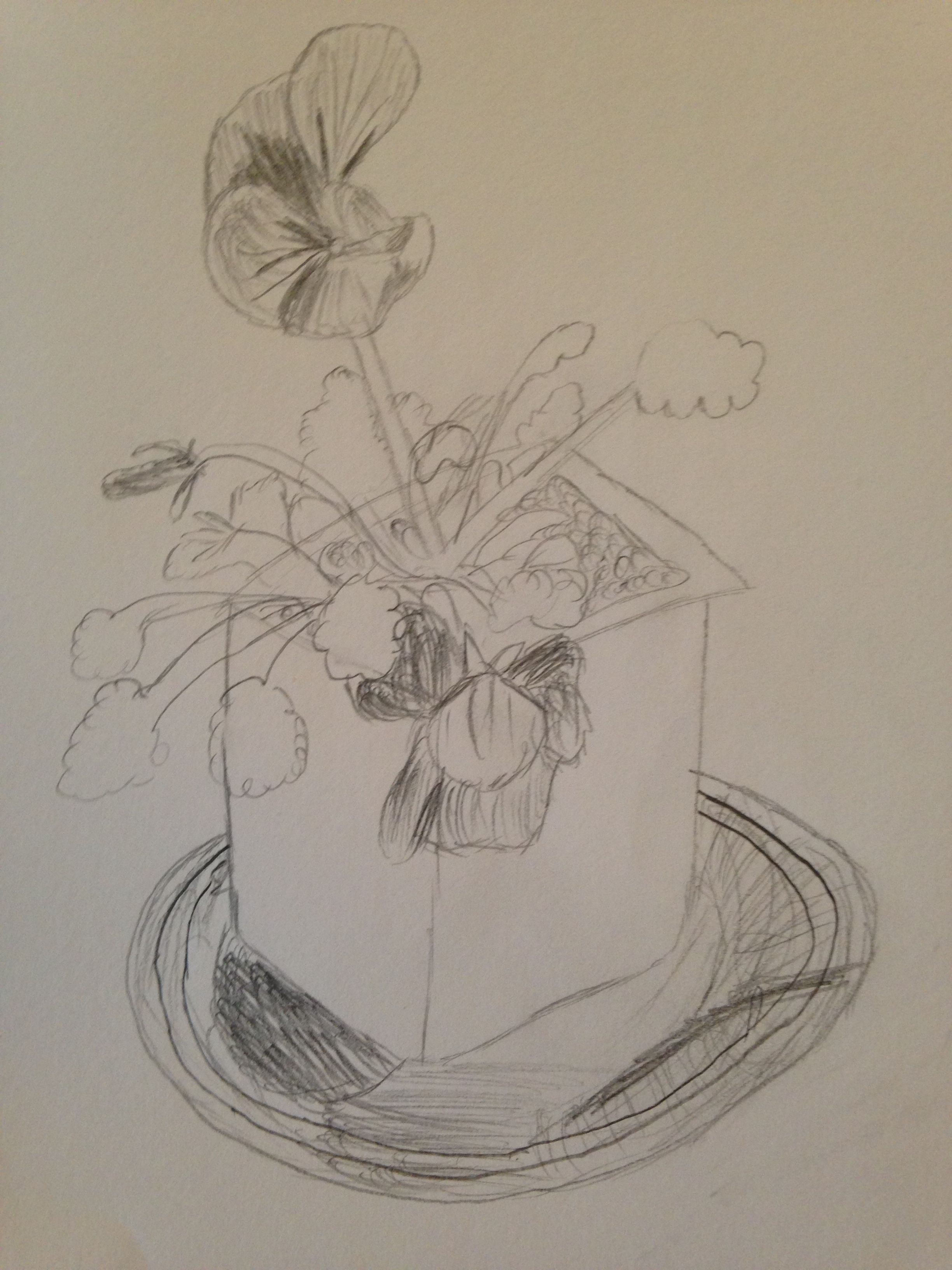 2448x3264 Pansy Sketch Art Sketches - Pansy Sketch