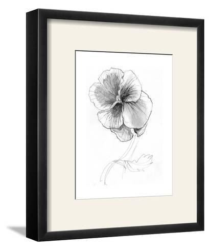 409x488 Sketchy Pencil Drawing Of Pansy Flower Art Print - Pansy Sketch