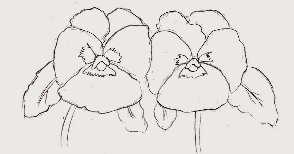 1000x524 Weekly Doodles And Tuts How To Draw A Pansy - Pansy Sketch