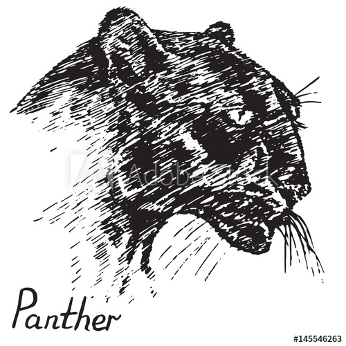 500x500 Black Panther Face Profile, Hand Drawn Doodle, Sketch In Pop Art - Panther Face Sketch