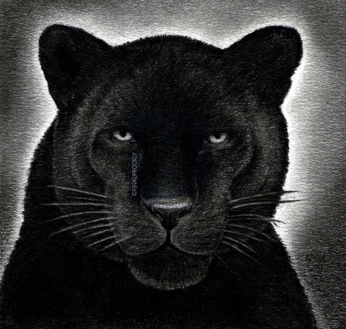 1206x1147 How To Draw A Black Panther, Realistic Panther, Step By Step - Panther Face Sketch