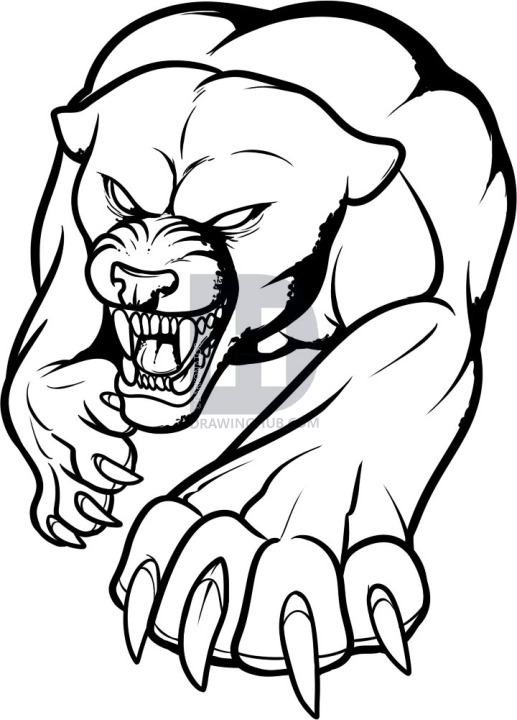 517x720 How To Draw A Panther Tattoo, Panther Tattoo, Step By Step - Panther Face Sketch