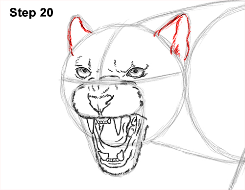 500x387 How To Draw A Black Panther Roaring - Panther Face Sketch