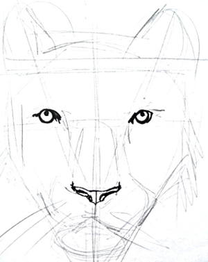 Panther Face Sketch at PaintingValley.com | Explore collection of ...