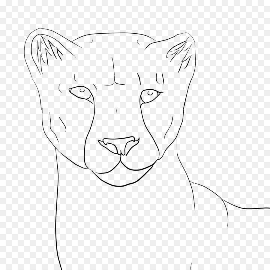 900x900 Lion Whiskers Cat Nose Sketch - Panther Face Sketch