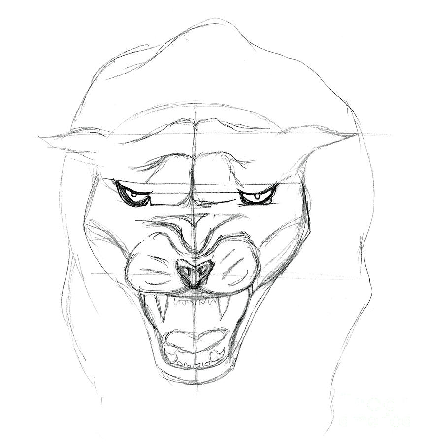 873x900 Panther Sketch Drawing By J M Lister - Panther Face Sketch